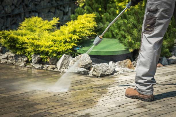 Best Warehouse Cleaning  in Salinas, CA